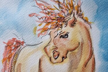 Die Geschichte hinter „Grumpy Pony“ – Inspiration und Entstehung